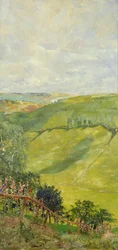 Summer Landscape
